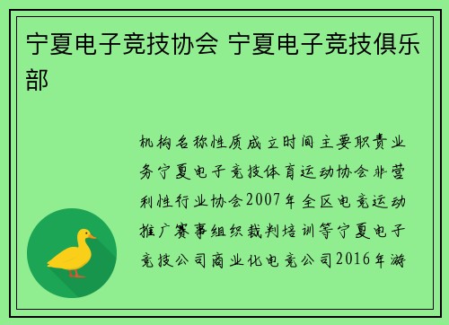 宁夏电子竞技协会 宁夏电子竞技俱乐部