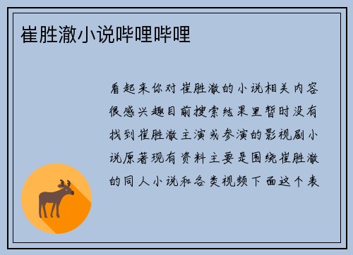 崔胜澈小说哔哩哔哩
